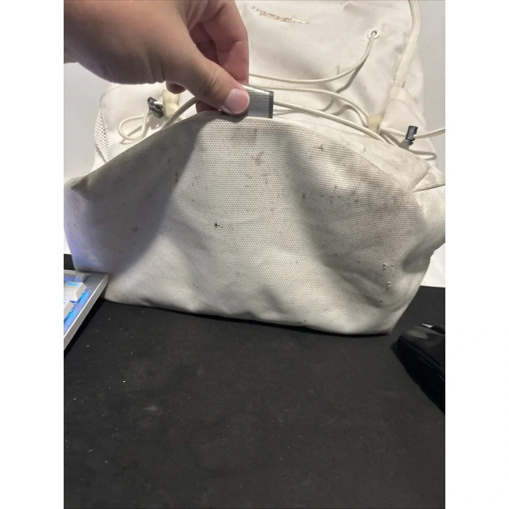 The North Face Jester Luxe Rose Gold ackpack 17